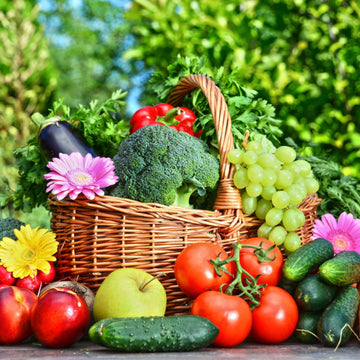 Horticulture Crops