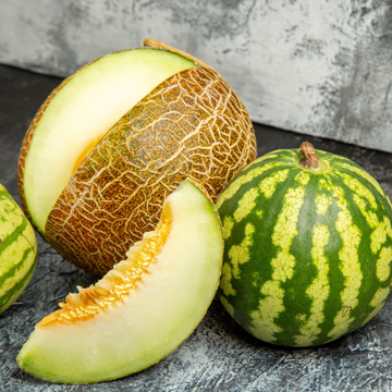 MuskMelon & Watermelon