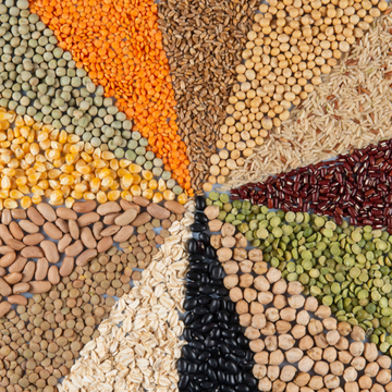 Pulses
