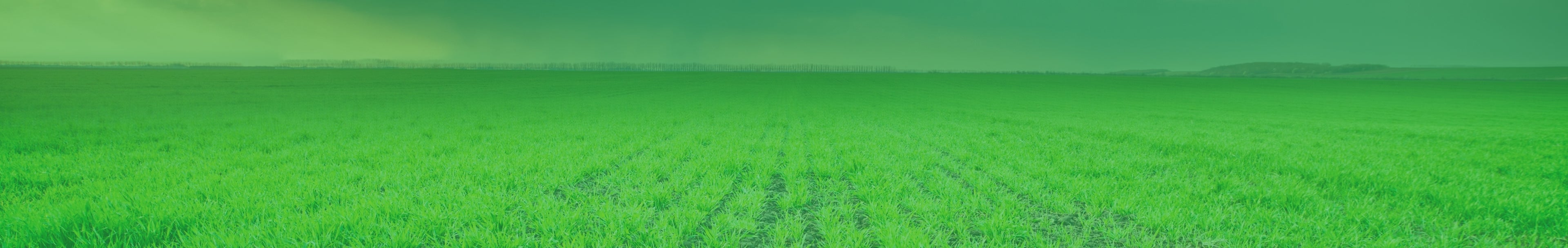 collection-banner-image