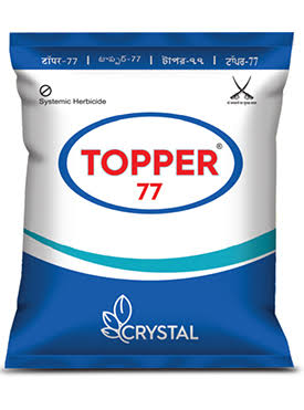 Topper - 77