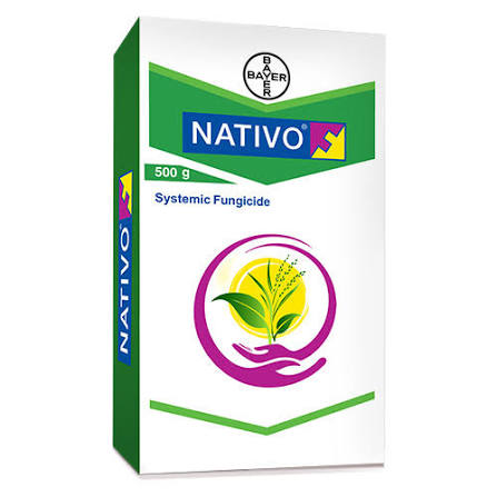 Nativo Fungicide